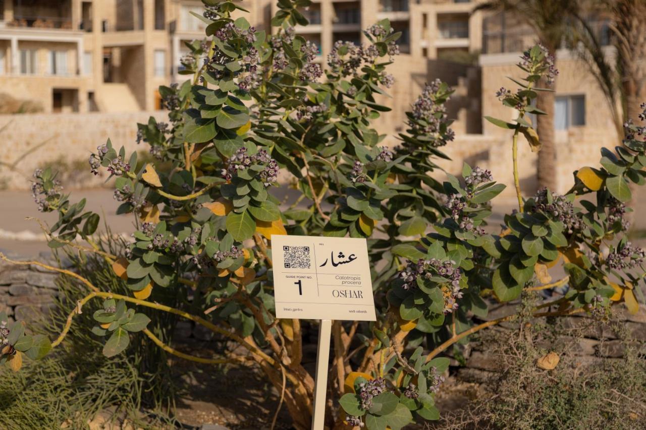 Wadi Sabarah Lodge Marsa Alam 外观 照片